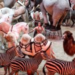 Richter Jzsef s Marrylu 2